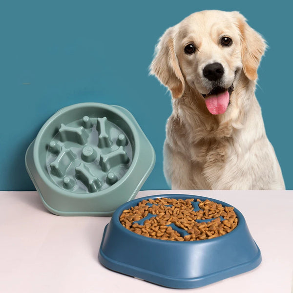 Pet Fun Feeder Bowl