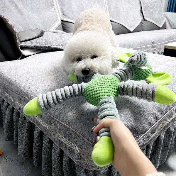 Durable Dog Squeaky Chew Toy