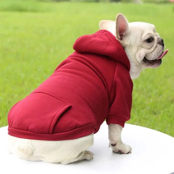 Cozy Pup Hoodie