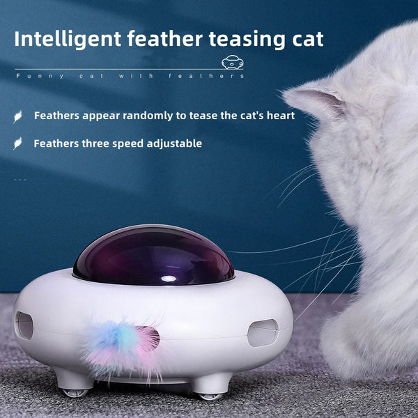 Whisker Wonder Cat Teaser