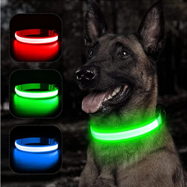 GlowBright Pet Safety Collar