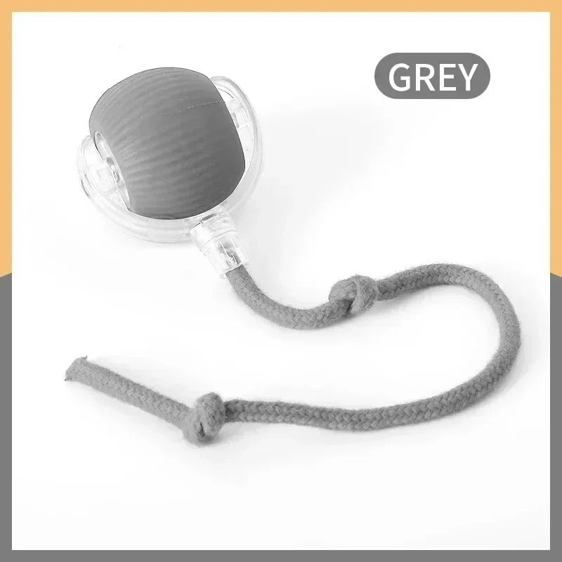 Smart Rolling Cat Toy