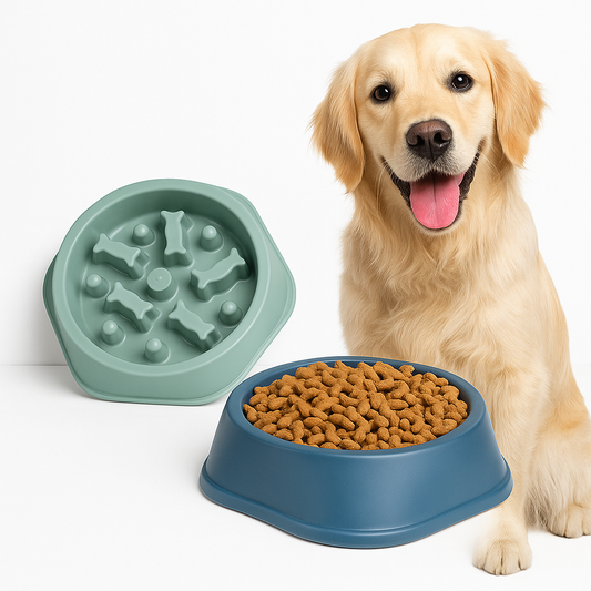 Pet Fun Feeder Bowl