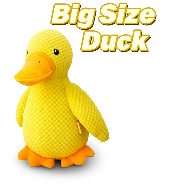 Product placeholder