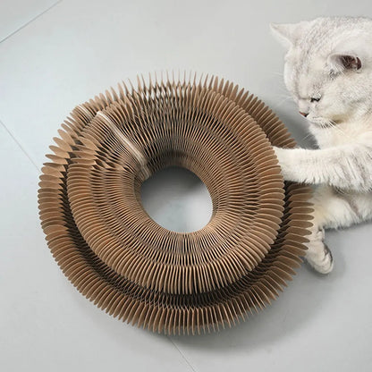 Magic Organ Cat Fun Board