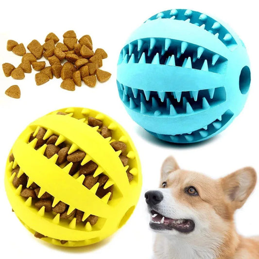 Elasticity Chew Ball for Dogs