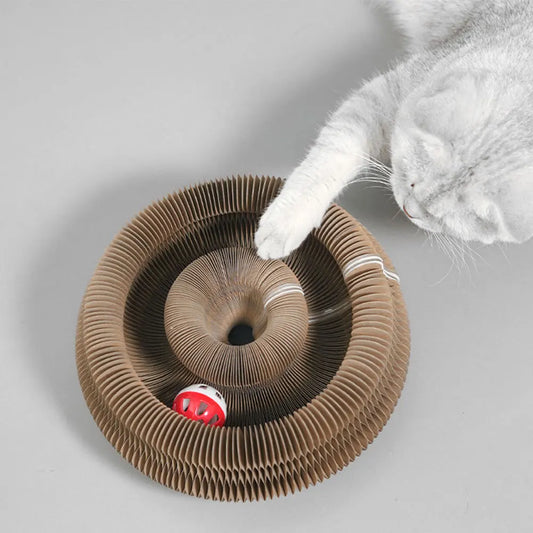Magic Organ Cat Fun Board