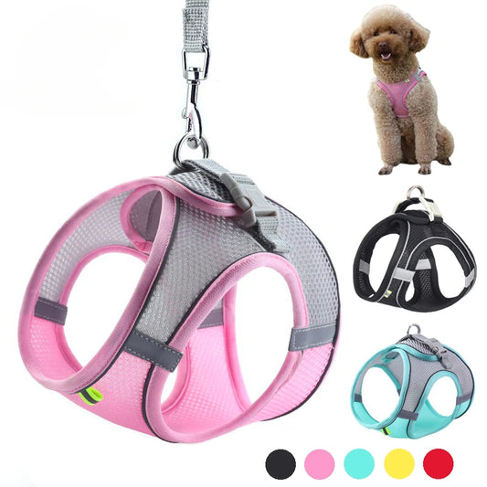 Puppy Adventure Gear Set