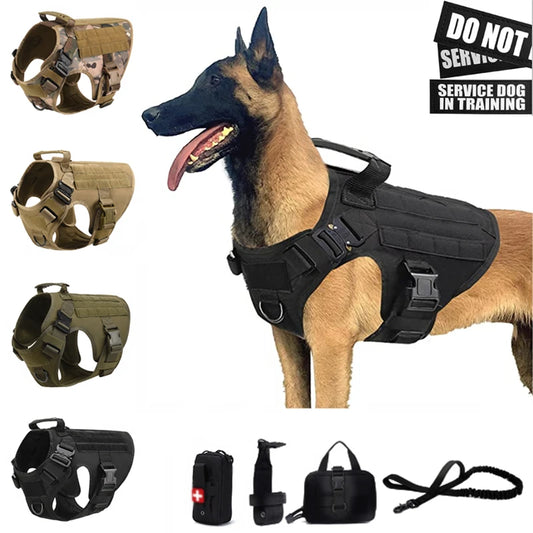 Tactical Dog Adventure Set