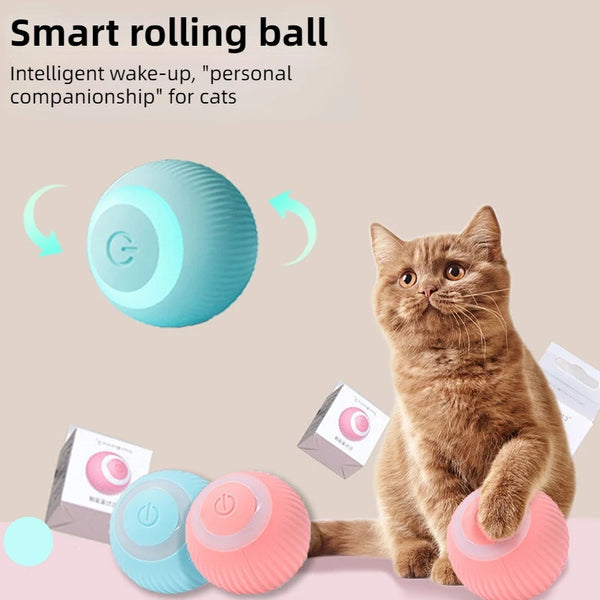 Smart Cat Play Ball