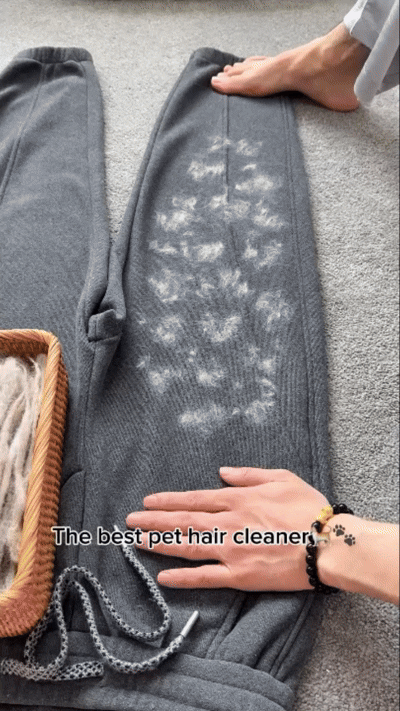 Easy Pet Hair Cleaning Gloves