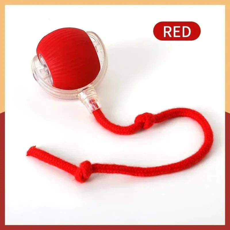 Smart Rolling Cat Toy