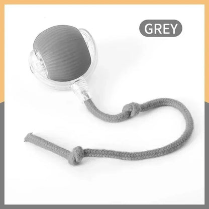 Smart Rolling Cat Toy